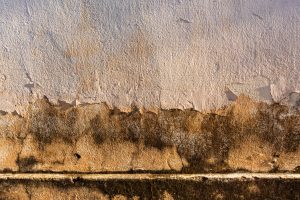Façade dégradée avec enduit écaillé et traces d’humidité, Artisans Façades