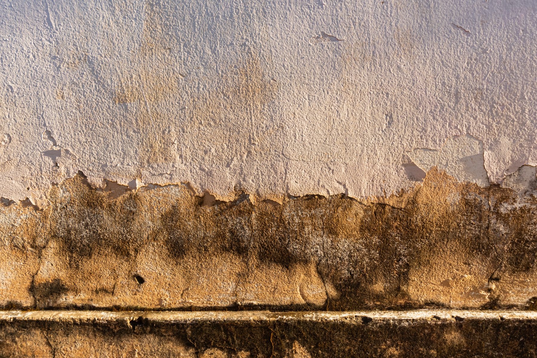 Façade dégradée avec enduit écaillé et traces d’humidité, Artisans Façades