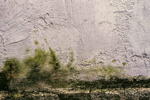 Façade humide avec traces de moisissure, diagnostic Artisans Façades