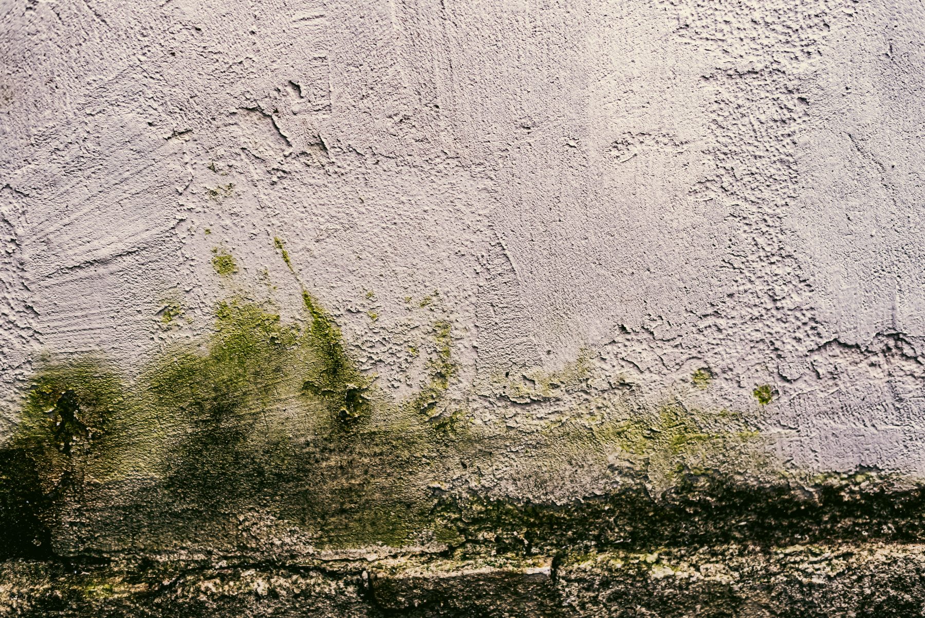 Façade humide avec traces de moisissure, diagnostic Artisans Façades